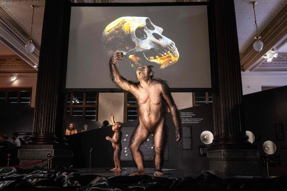 Em seu estado atual, Lucy é composta por restos dentários fossilizados, fragmentos de crânio e partes da pélvis e do fêmur — Foto: Michal Cizek/AFP