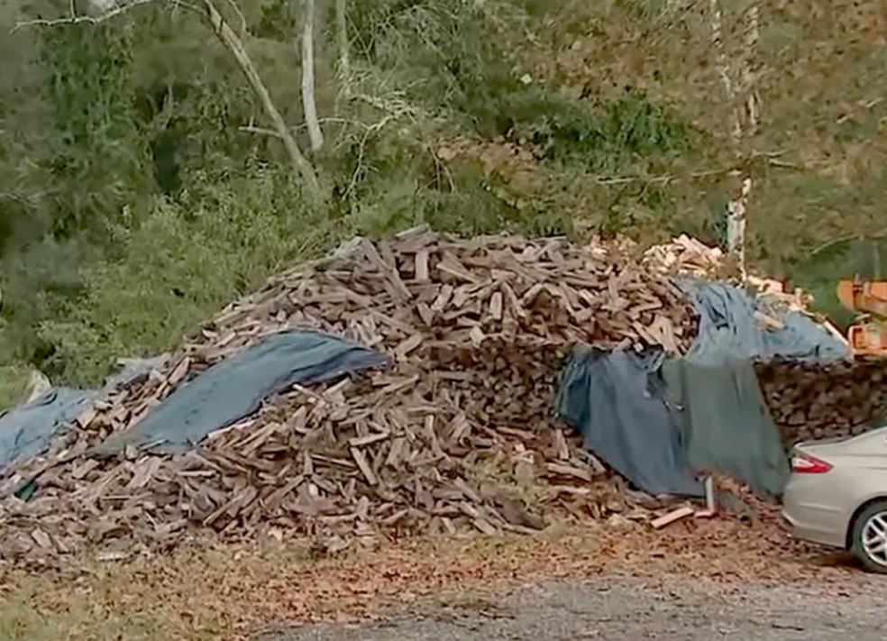 Foto mostra arbustos e pilha de madeira em que Danilo Cavalcante foi encontrado, na Pensilvânia — Foto: Reprodução/X/6abc News