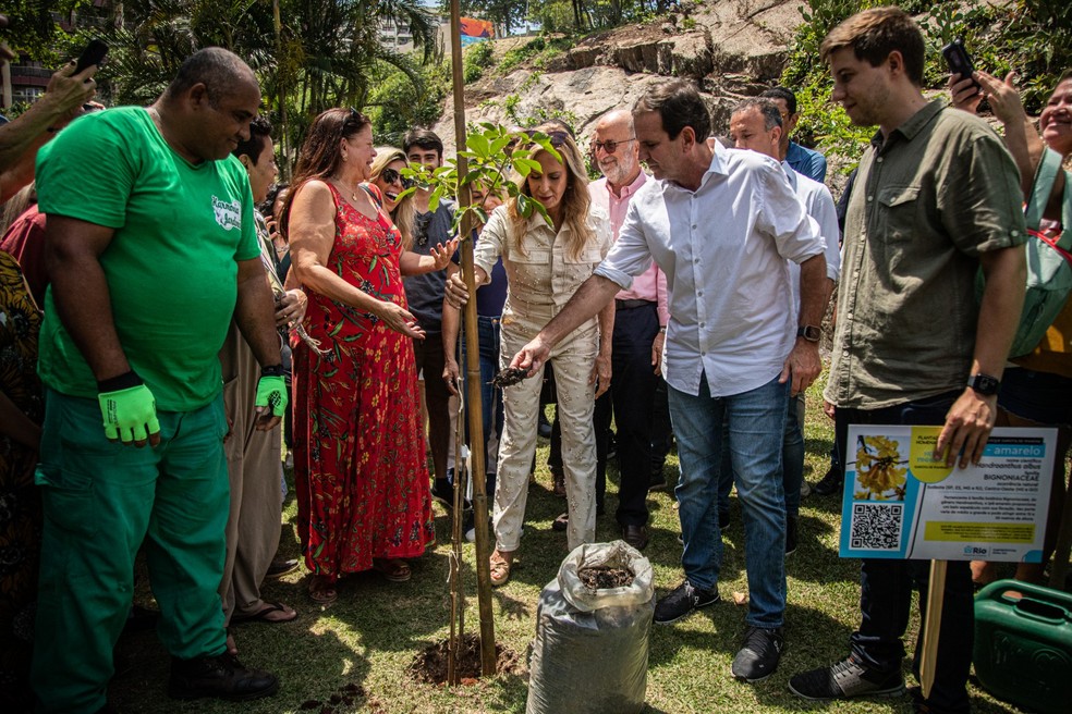 Árvore em homenagem à Helô Pinheiro é plantada no Parque Garota de Ipanema — Foto: Hermes de Paula/Agência O Globo