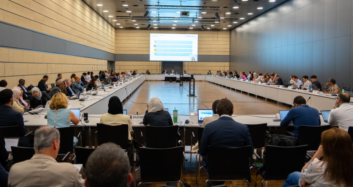 De meta global para o clima à 'transição justa', entenda quais foram as prioridades do Brasil na agenda pré-COP em Bonn