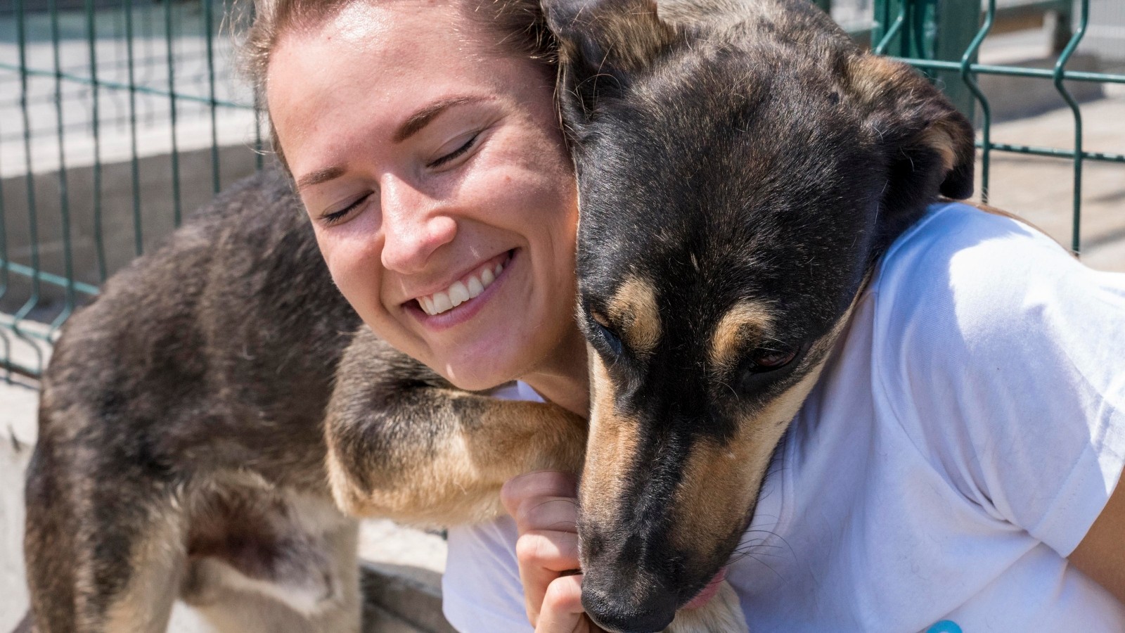 Além da companhia: o papel dos cães na detecção de doenças e no cuidado com a saúde