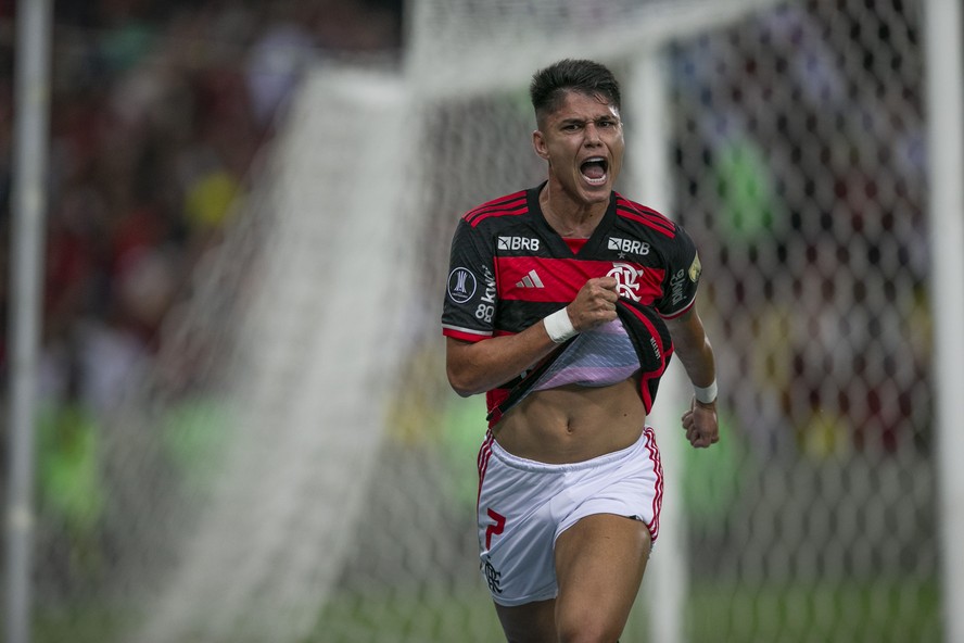 Luiz Araújo abriu o placar para o Flamengo