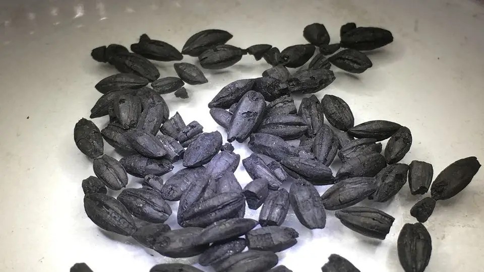 Síria já tinha culinária sofisticada há 4.500 anos, revela estudo - Foto