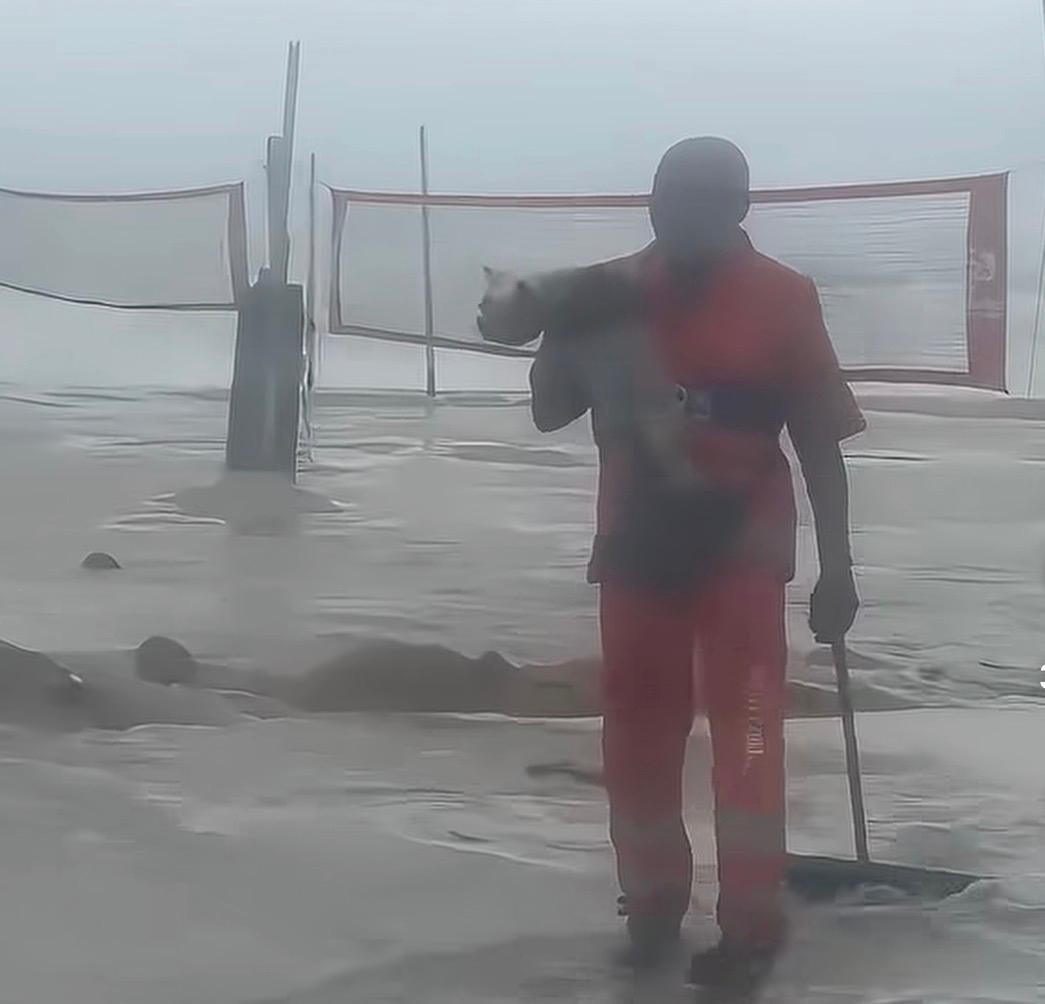 Vídeo: gari entra na água e salva cachorro levado pela correnteza durante ressaca em Copacabana - QTU Questões do Universo