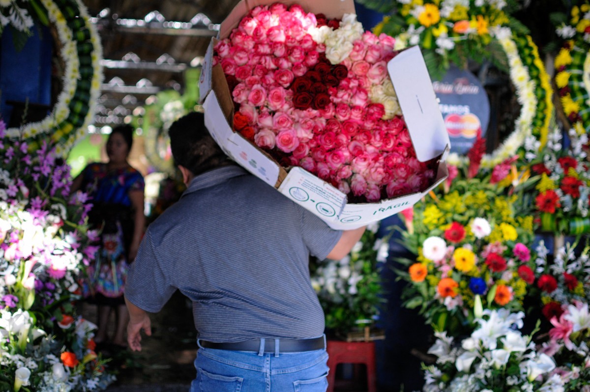 Colômbia exporta 700 milhões de flores para o Dia dos Namorados