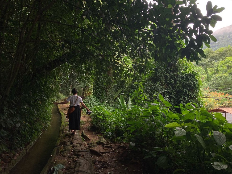 A terapeuta Helen Pomposelli guia banhos de floresta no Rio — Foto: Camila Araujo/Agência O Globo