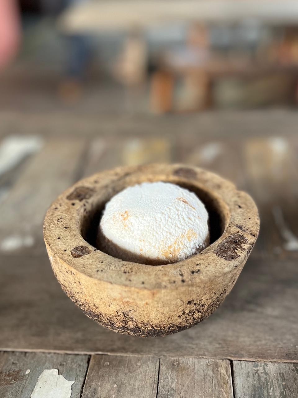 Melhor queijo de cabra do mundo é brasileiro e feito em  Valença