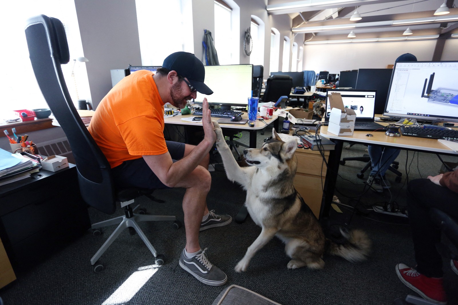 Bill Dicke, presidente da Tungsten Collaborative brinca com seu cachorro no escritórioAFP