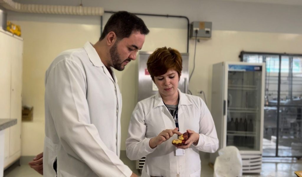 Chocolate sem gordura e sem conservantes? Engenheiro químico de Goiânia cria 'primeiro produto do tipo no mundo'