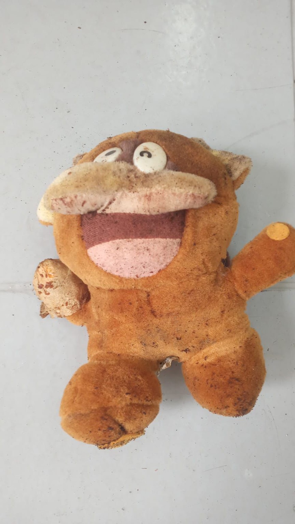 Ursinho foi encontrado sobre caixão de Bento Hinoto — Foto: Jorge Santana | Arquivo pessoal