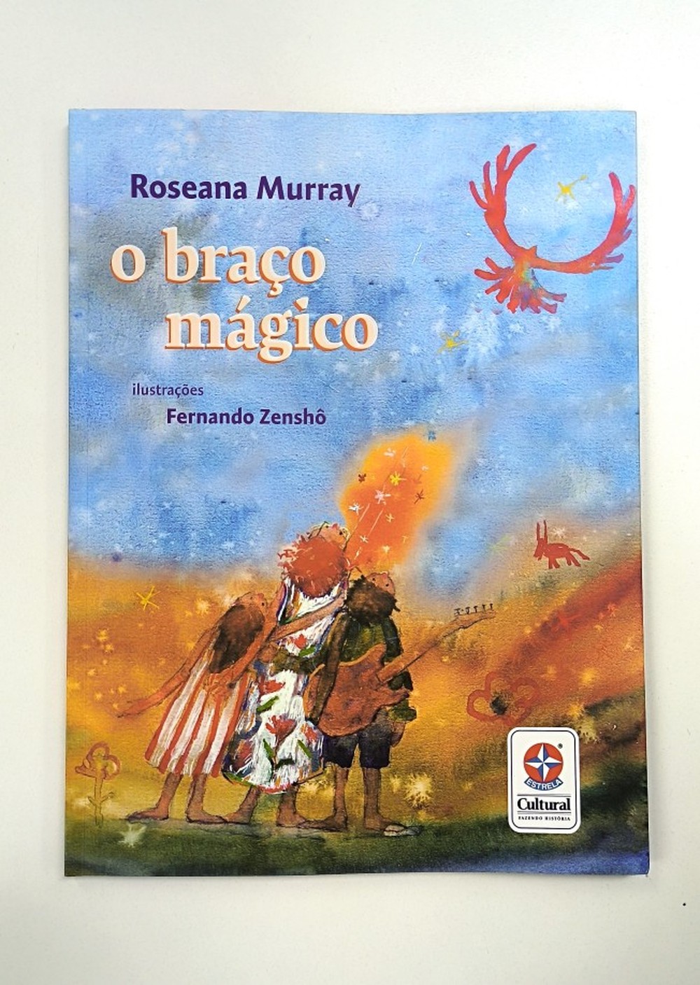 Escritora Roseana Murray lança o livro ‘O braço mágico’ no Rio, quatro ...