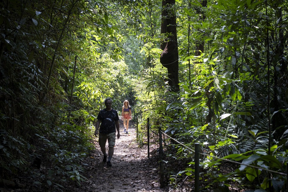 Visitantes no Caminho Dom Pedro Augusto, uma trilha acessível no Parque Nacional da Tijuca — Foto: Márcia Foletto / Agência O Globo