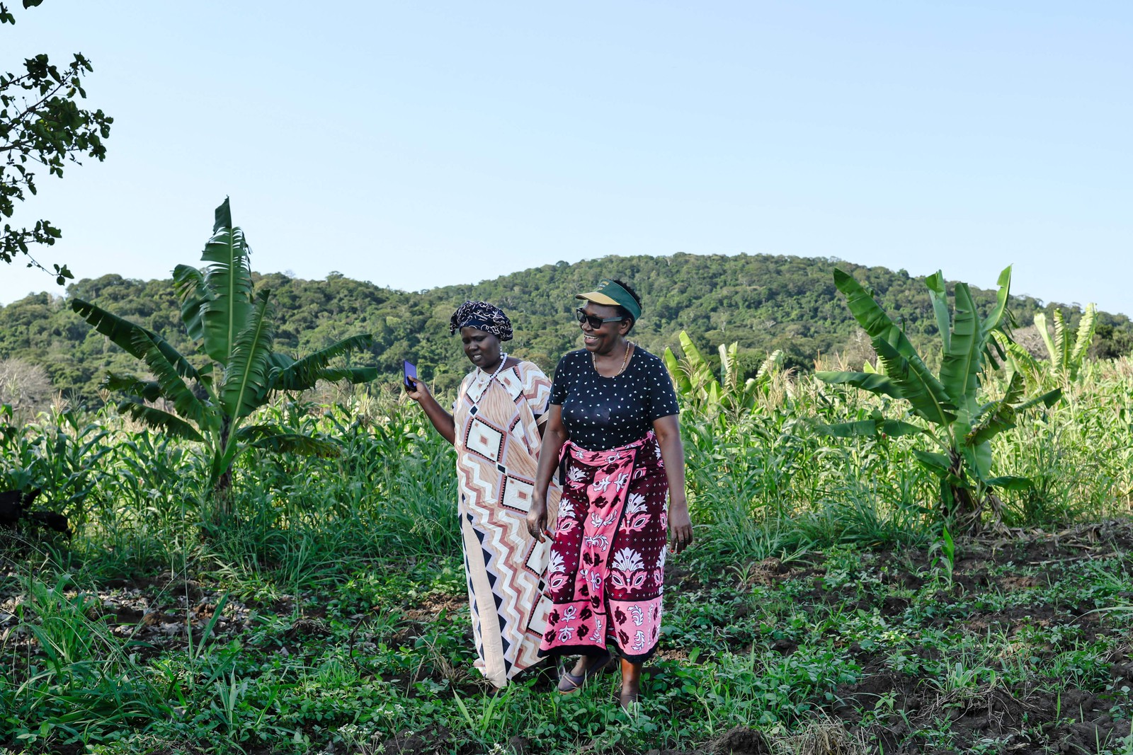 In Mrima Hill, residents fear for their livelihoods, their sacred shrines, their medicinal plants and the forest they have always known — Photo: Tony Karumba/AFP