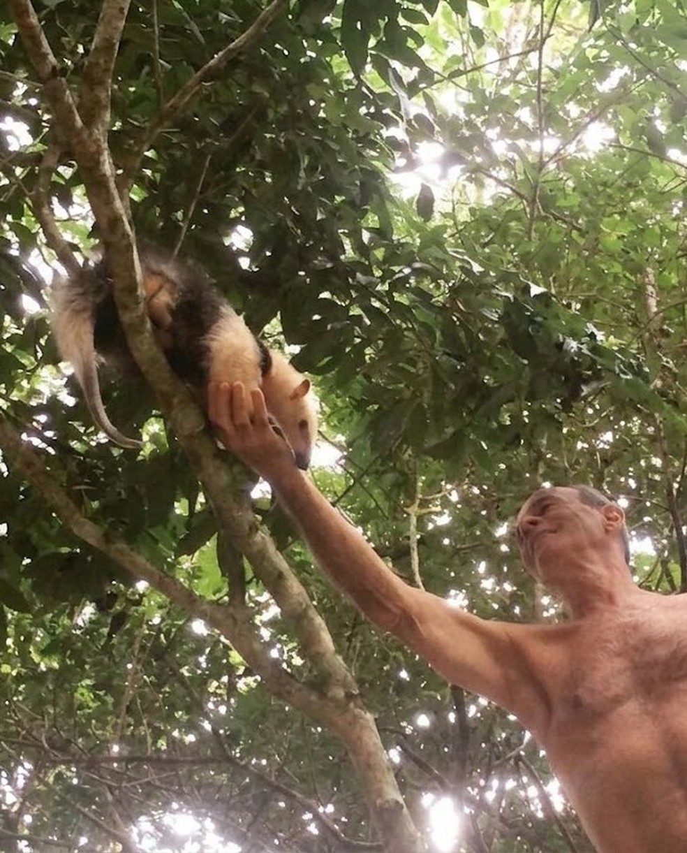 Ney Matogrosso devolveu 10 mil animais à mata em sítio em Saquarema — Foto: Reprodução