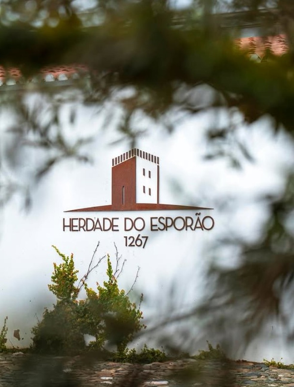 Herdade do Esporão: valorização da identidade portuguesa — Foto: Divulgação / Esporão