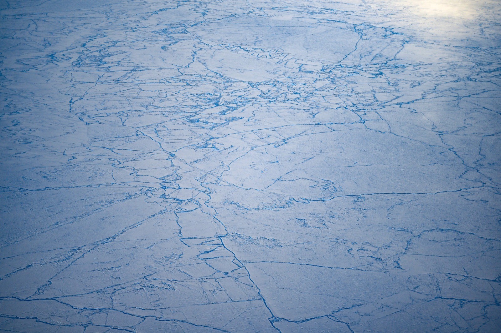 Arctic region — Photo: NYT/Kenny Holston