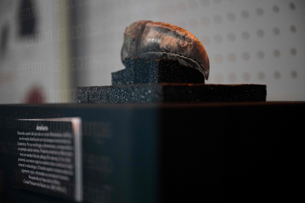 Adorno de cabeça usado por múmia de mulher da civilização Caral, no Peru — Foto: ERNESTO BENAVIDES / AFP