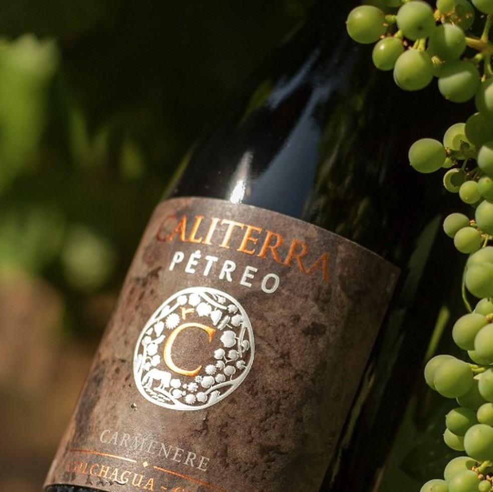 Caliterra: vinhos chilenos pontuados revelam os sabores e aromas do ...