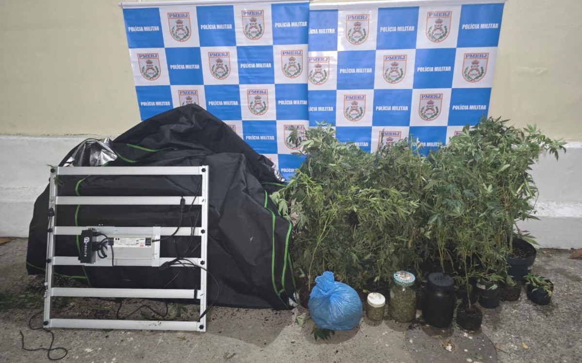 PM apreende plantação com 100 pés de maconha em casa de Niterói