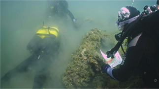 Pesquisadores descobriram restos da Roma Antiga enterrados no fundo do oceano — Foto: Divulgação/Superintendência da Área Metropolitana de Nápoles