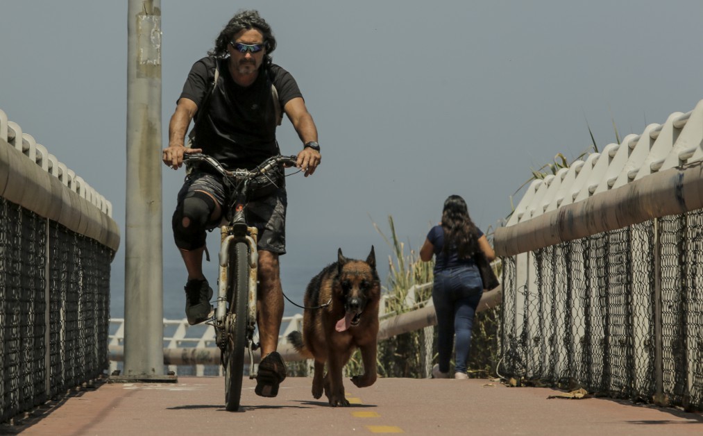 Calor exagerado exige atenção especial com os pets, principalmente na hora do sol mais forte — Foto: Gabriel de Paiva
