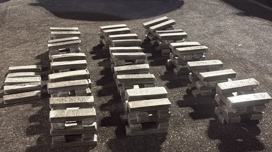Maconha apreendida: PM detém suspeito com 155kg na Zona Norte