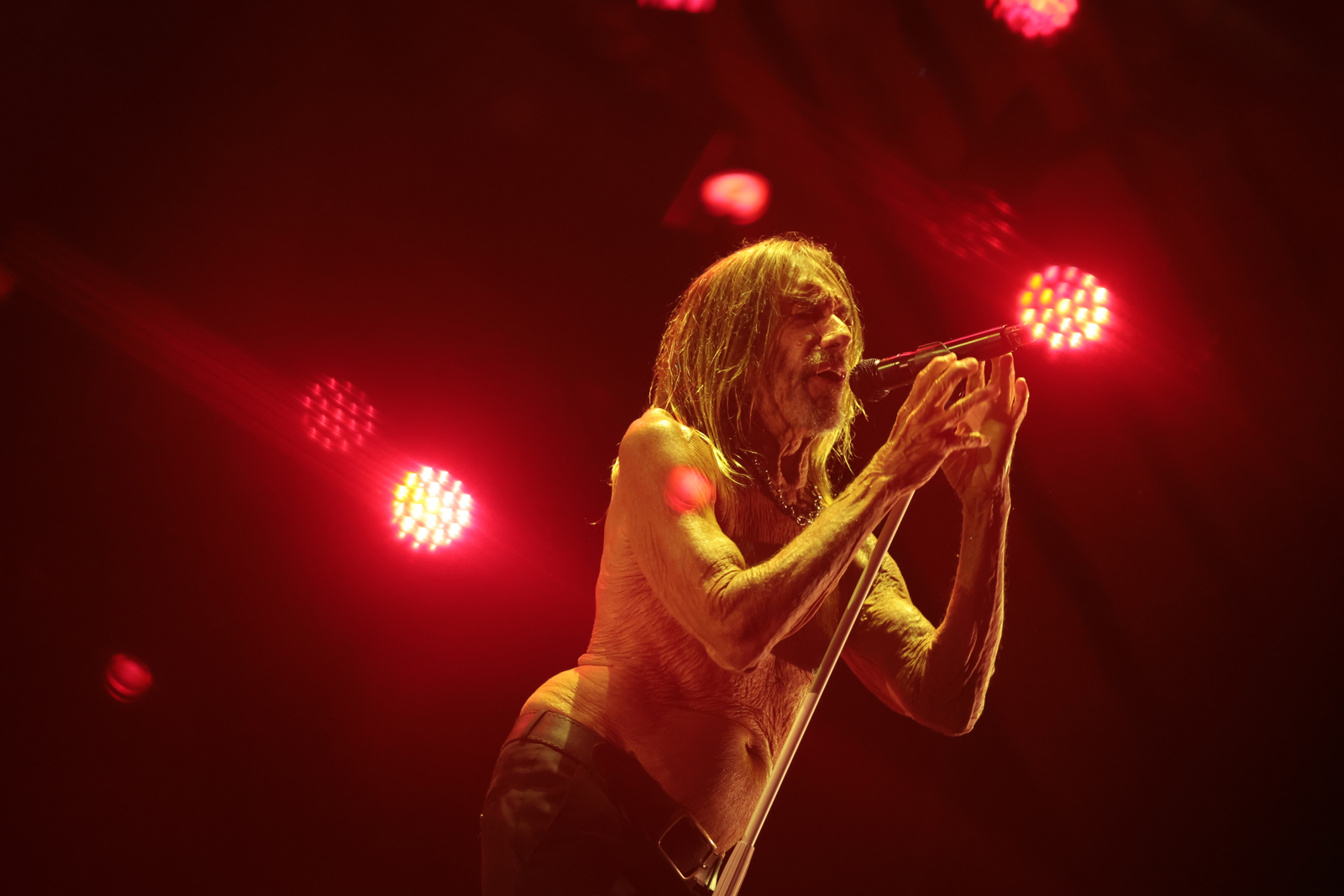 Iggy Pop No The Town 2025 - Foto: Maria Isabel Oliveira / Agência Globo
