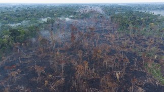 Inpe detectou em Rondônia aumento de 47% nos focos de queimada de 1º de janeiro a 24 de agosto em comparação a igual período de 2020 — Foto: Edilson Dantas / Agência O Globo