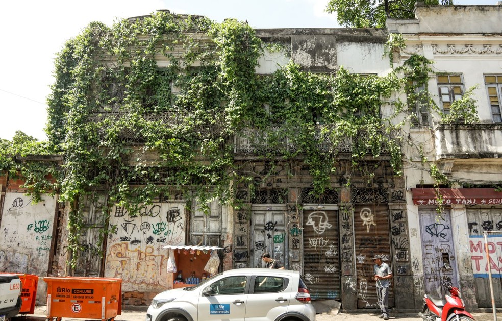 Vegetação ameaça estrutura de alguns imóveis — Foto: Gabriel de Paiva