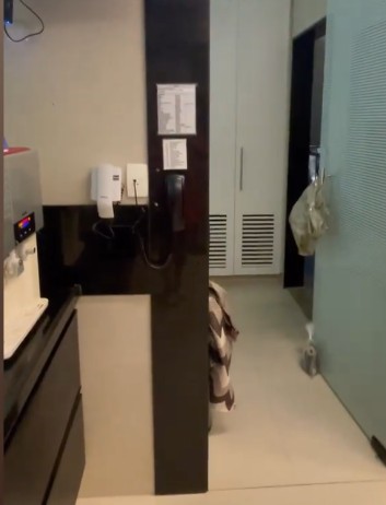 Home kitchen in sober colors – Photo: Reproduction