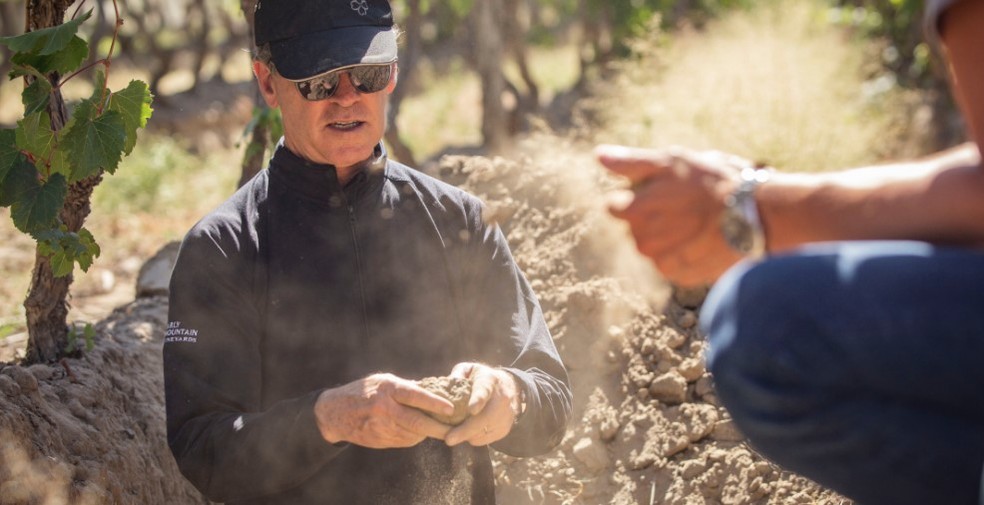 Paul Hobbs em vinhedo da Viña Cobos — Foto: Divulgação Viña Cobos