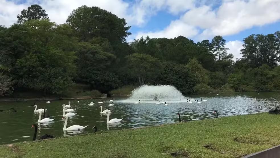Zoológico no RS suspende visitas após 40 animais aparecerem mortos, e governo investiga causa
