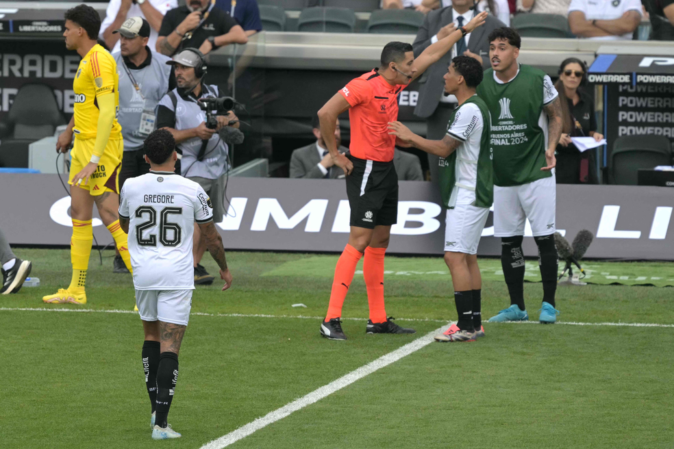 Botafogo: Gregory sent off at the start of the first half - Photograph: JUAN MABROMATA / AFP