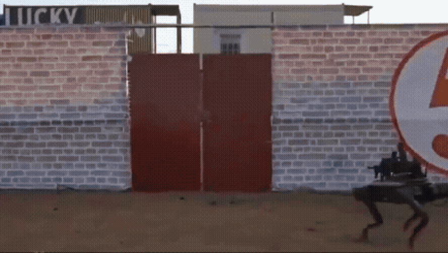 Imagens circulam nas redes sociais