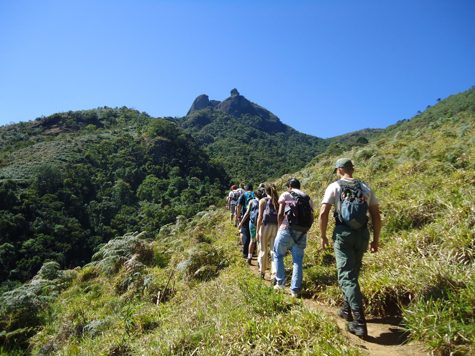 Localizado no Sul Fluminense, o Parque Nacional de Itatiaia, o mais antigo do Brasil, tem opções de trilhas e passeios para todas as idades — Foto: Divulgação / Turisrio