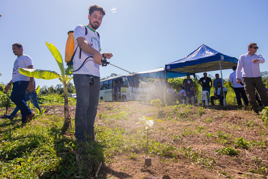 Amazônia nanotecnológica – Instituto de Pesquisas Tecnológicas