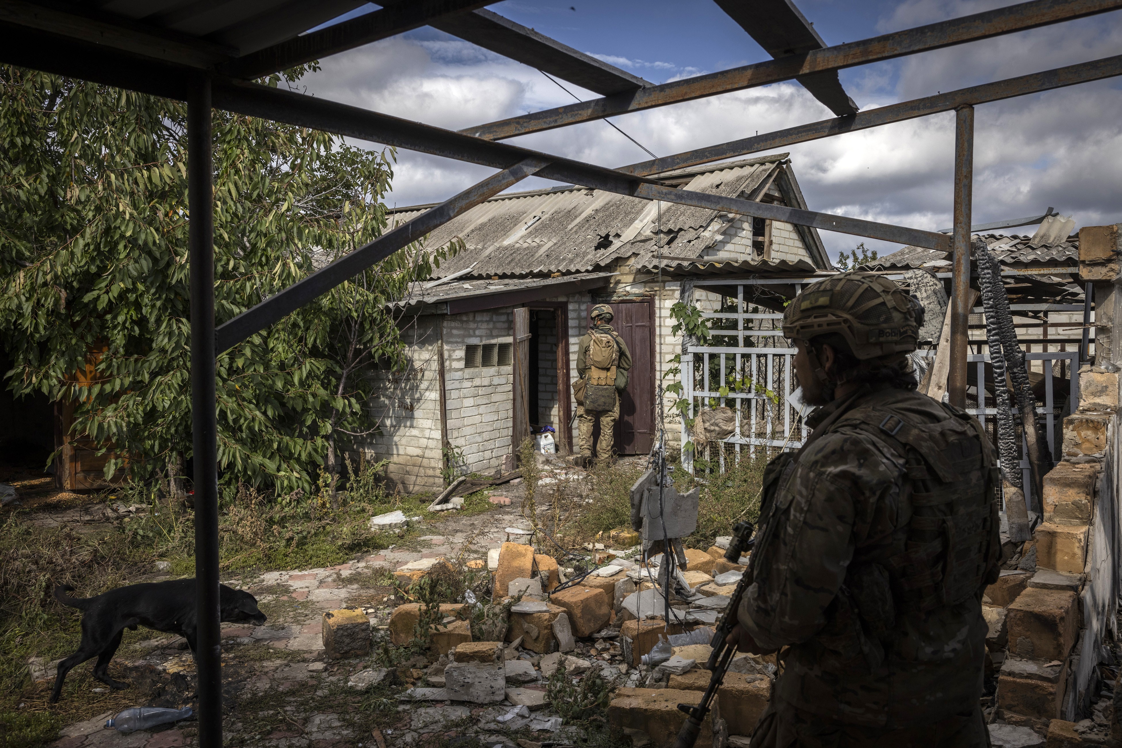 Brasileiros no front: Com ex-guerrilheiros, Colômbia é o maior fornecedor de combatentes latino-americanos para Ucrânia e Rússia