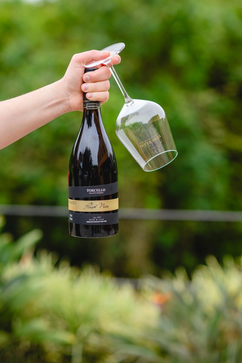 O Torcello Pinot Noir — Foto: Divulgação