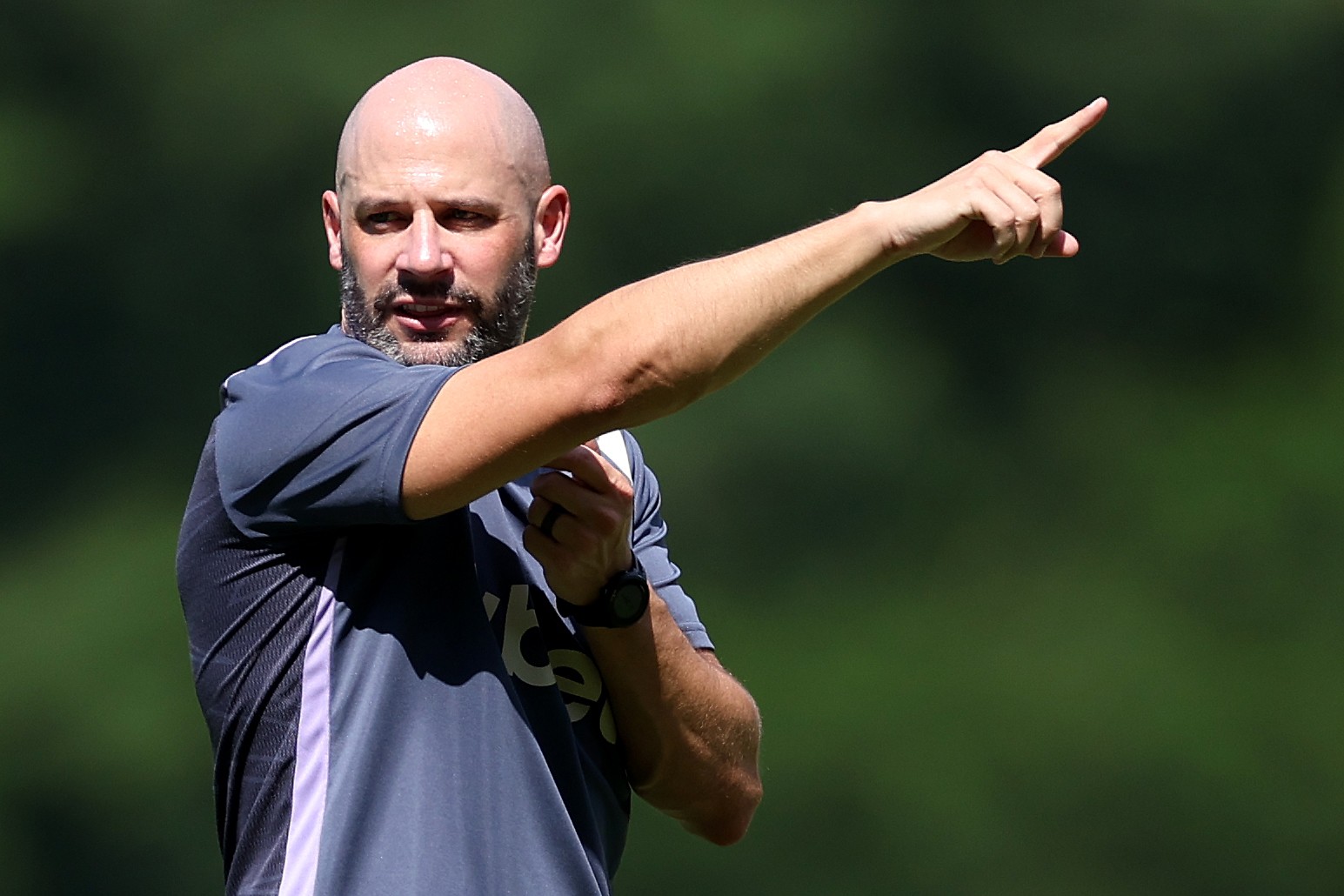 independiente petrolero