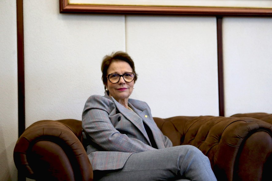 A ex-ministra da Agricultura Tereza Cristina