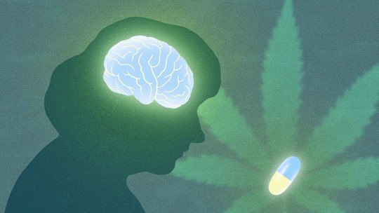 Alzheimer: estudo desvenda como um composto menos conhecido da Cannabis pode proteger o cérebro; entenda