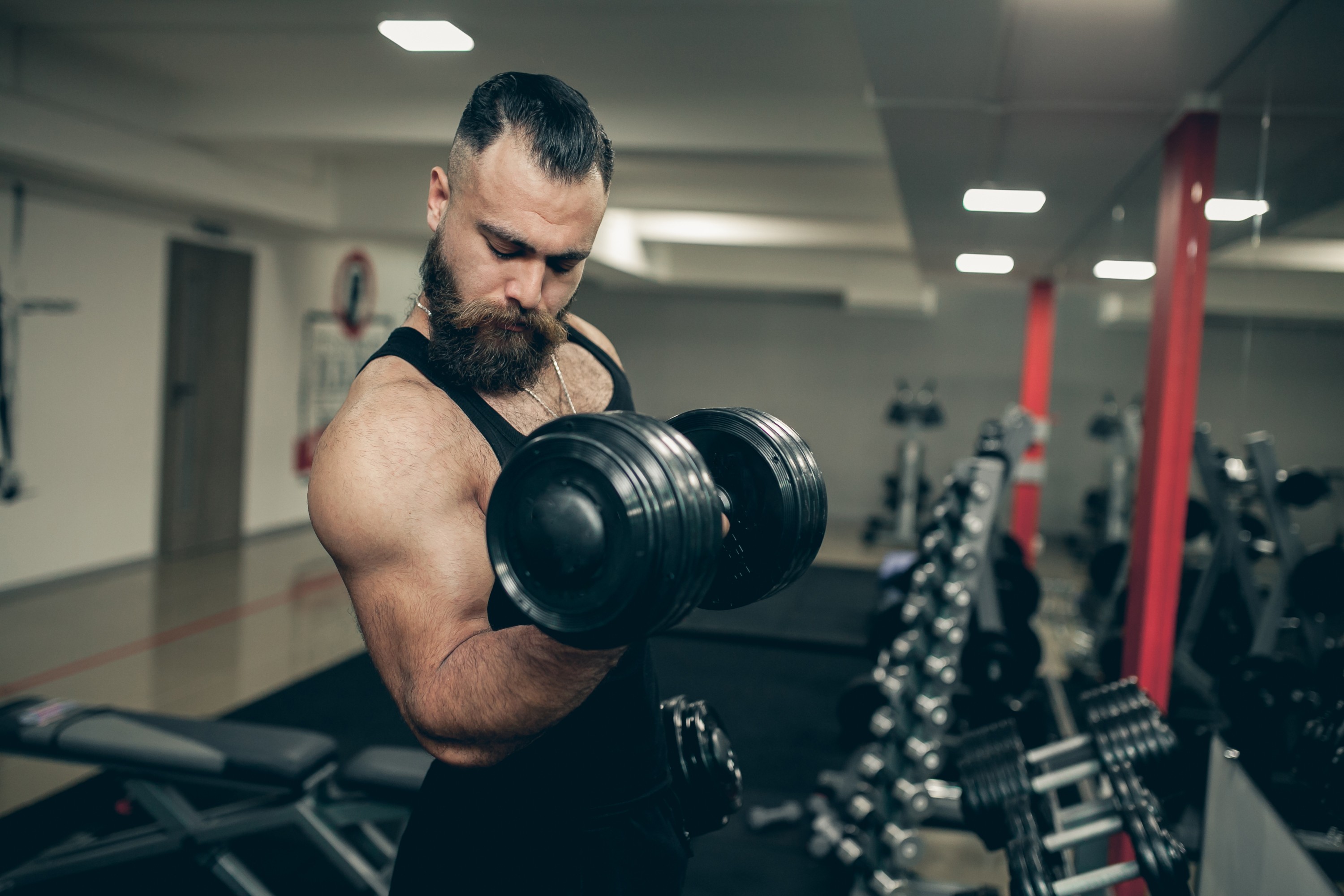 Mais “pump”, mais músculo? A ciência coloca em dúvida uma das obsessões da academia - QTU Questões do Universo