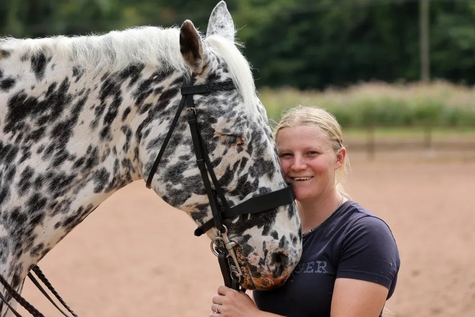 Cavalo cego aprende 