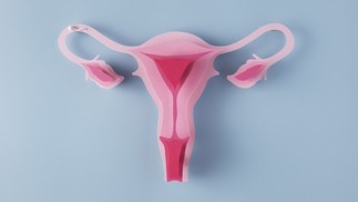 A endometriose é uma doença crônica causada por uma inflamação fora do normal de células do endométrio – tecido que reveste as paredes internas do útero, onde o óvulo se fixa depois de fecundado para que o feto cresça no caso de reprodução — Foto: Freepik