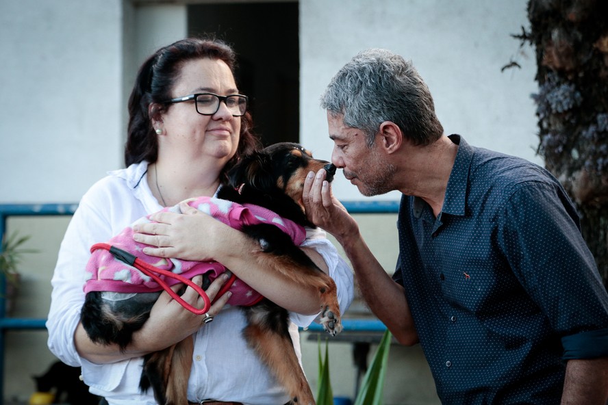 O veterinário Glauco Melo faz carinho em vira-lata no colo de uma funcionária do Centro Municipal de Medicina Veterinária Jorge Vaitsman (CJV), na Mangueira