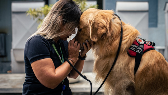 Melhores amigos: cães de suporte emocional ajudam tutores a enfrentar transtornos como depressão e pânico
