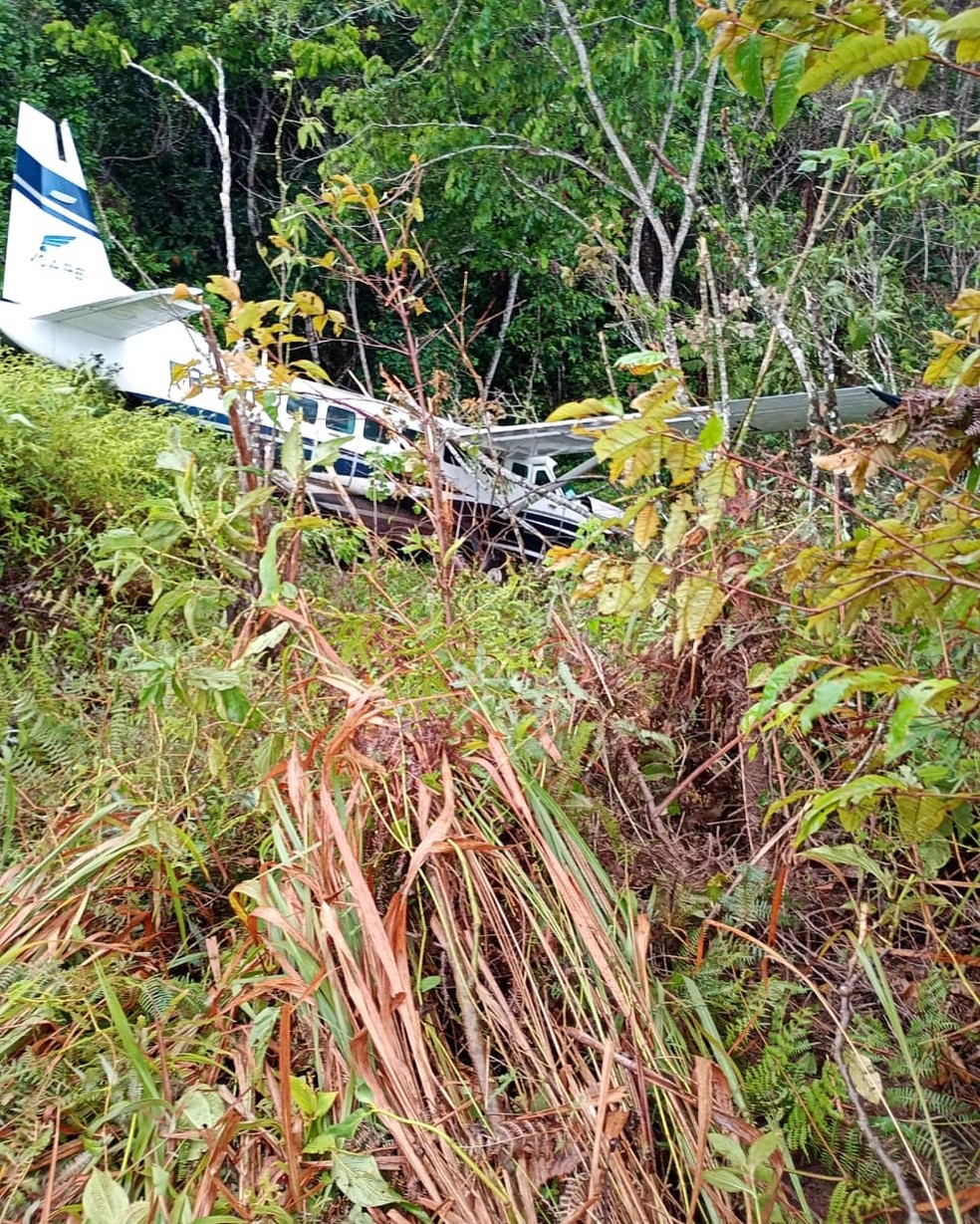 Foto o avião fora da pista — Foto: Reprodução