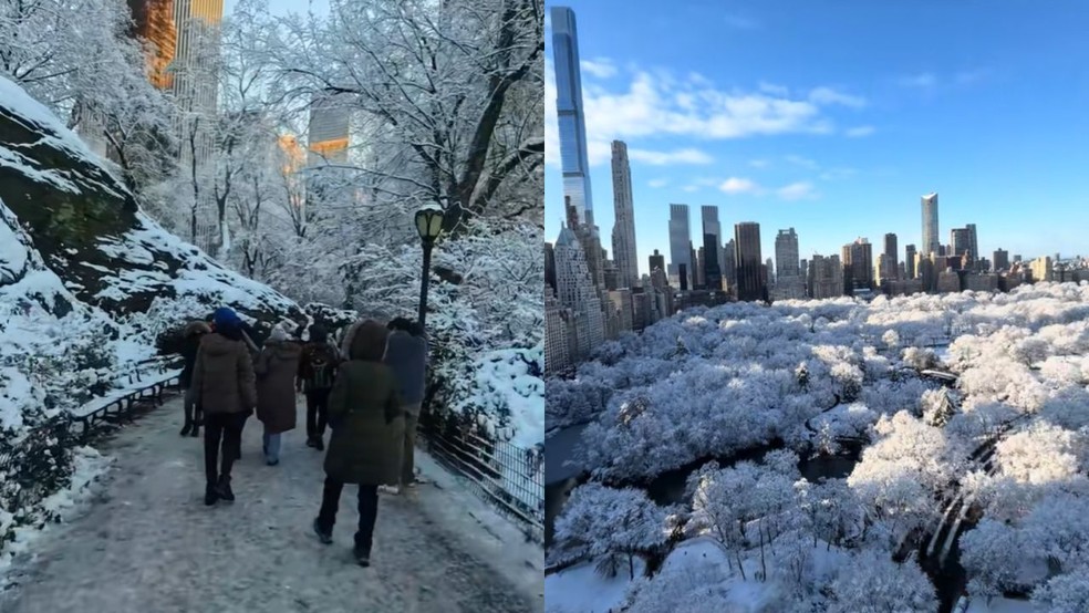 Montagem com imagens que circulam nas redes sociais — Foto: Captura de tela/Redes sociais