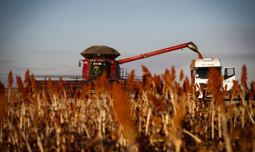 Plantação: agro não deve repetir desempenho do início do ano — Foto: Pablo Jacob / Agencia O Globo