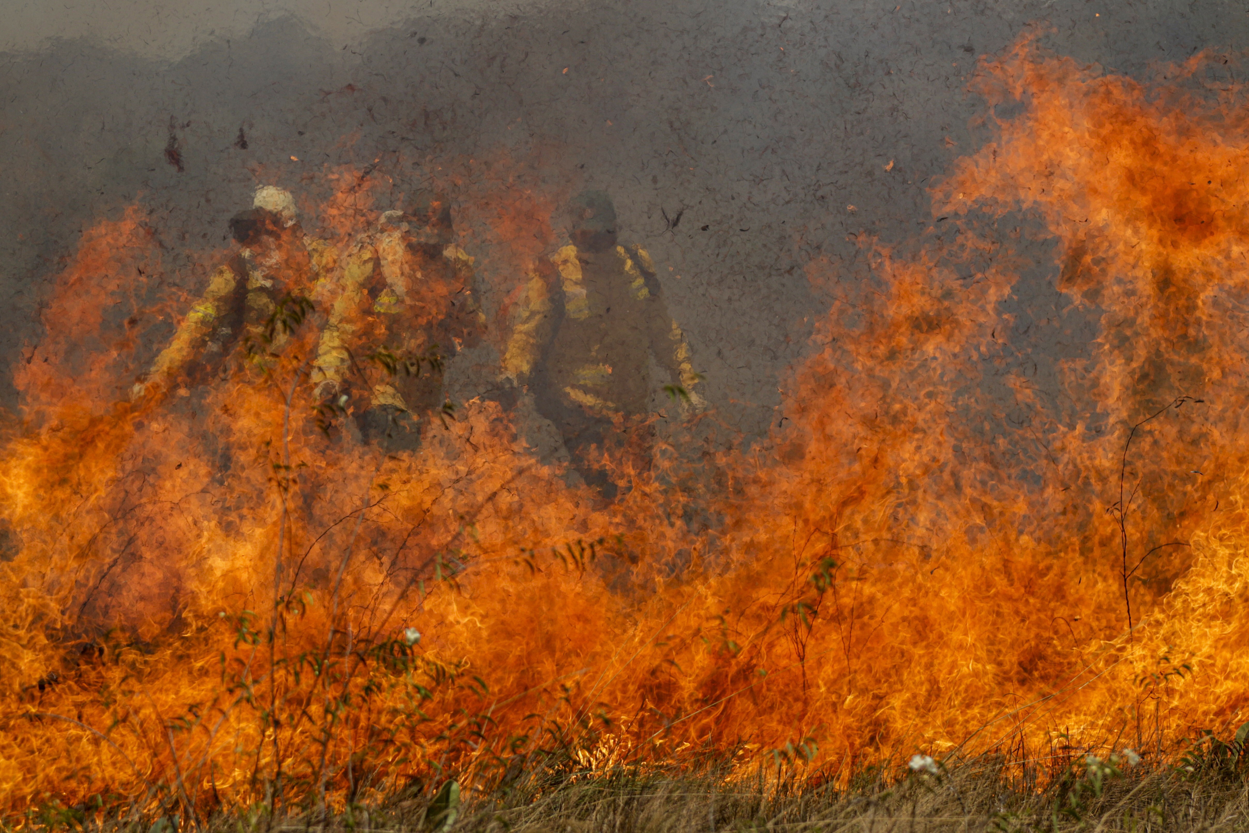 El Niño: 16 estados e o DF já encaminharam dados ao MMA para plano integrado de prevenção e combate a incêndios florestais - Foto